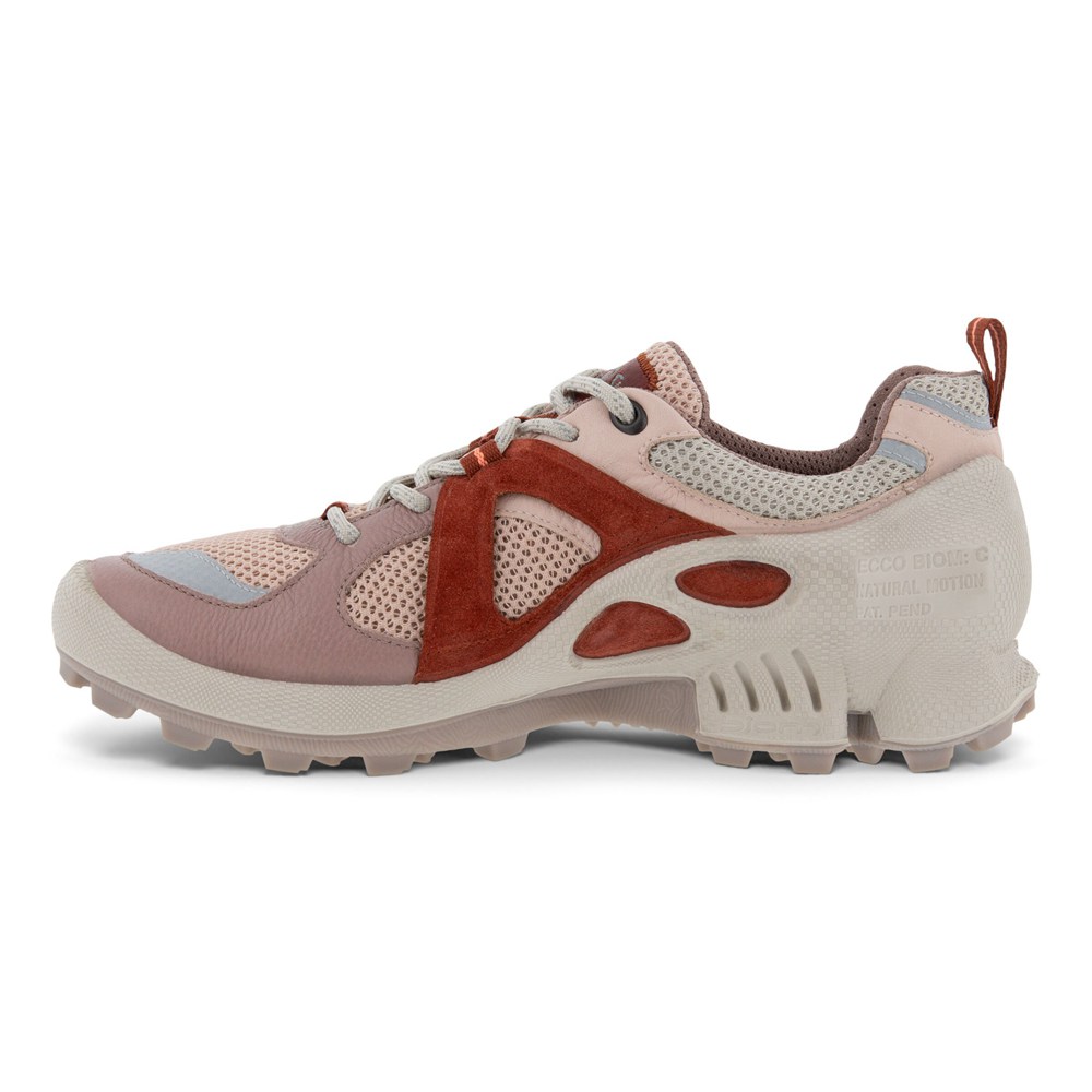 Womens Hiking Shoes - ECCO Biom C-Trail Low - Multicolor - 4219GYOSU